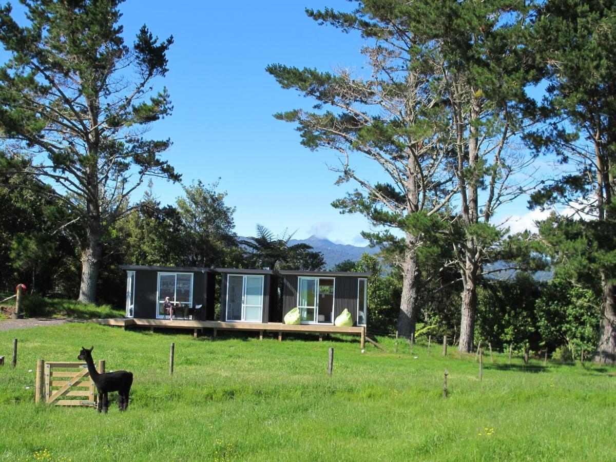 Отель Waihi Gold Alpacas 3 Or 4 People Экстерьер фото