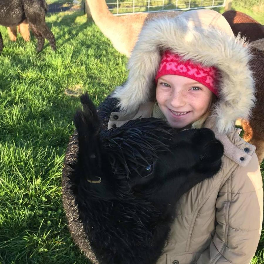 Отель Waihi Gold Alpacas 3 Or 4 People Экстерьер фото